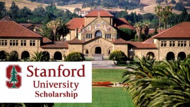 Stanford University Scholarship